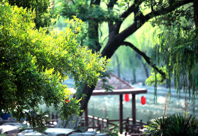 我用镜头讲述家乡运河之都济宁