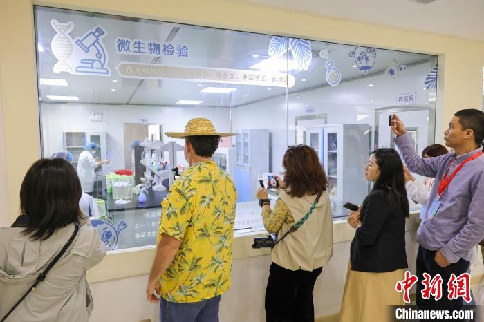 侨见海南自贸港：在“中国椰子之乡”领略椰文化”