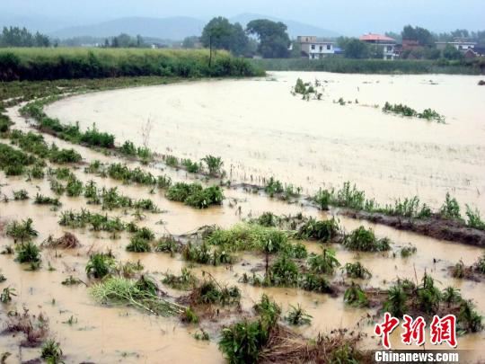 暴雨致江西彭泽近万人受灾 480人连夜转移(图)