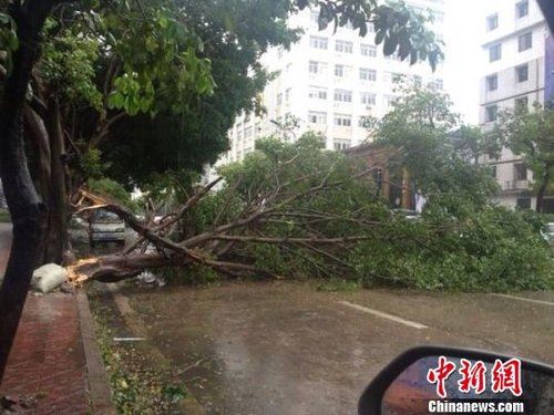 “天兔”来势汹汹汕头海湾和礐石两跨海大桥封闭