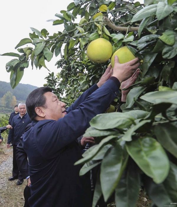 习近平考察湖南:深化改革开放推进创新驱动