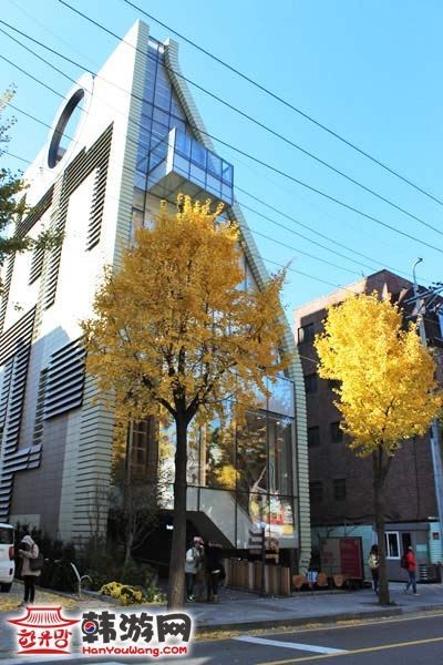 韩国新沙洞林荫树路