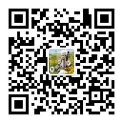 金碧辉煌古都文化__雅俗共赏养生之音 金碧辉煌古都文化__雅俗共赏养生之音