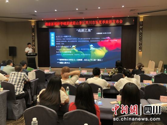 推介会现场。 推介会现场。