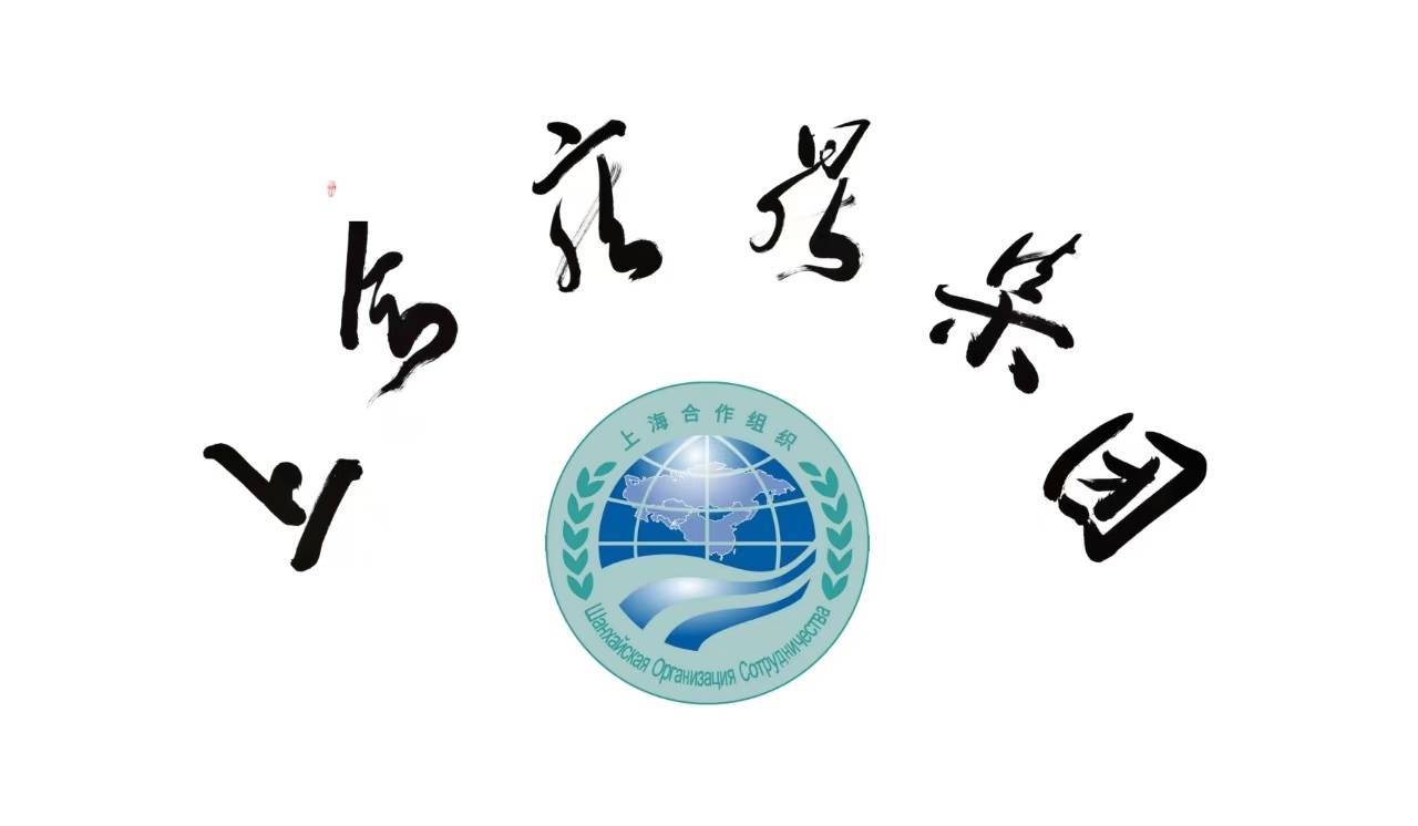 上合雍鼎集团：砥砺前行，共绘全球贸易新蓝图