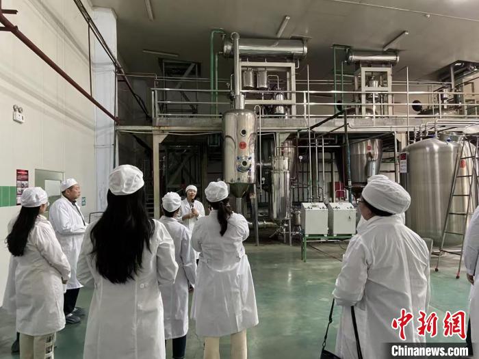 海外华文媒体访延边：展望边疆发展新图景